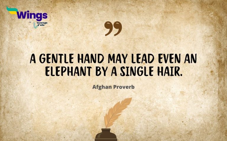 Proverb image